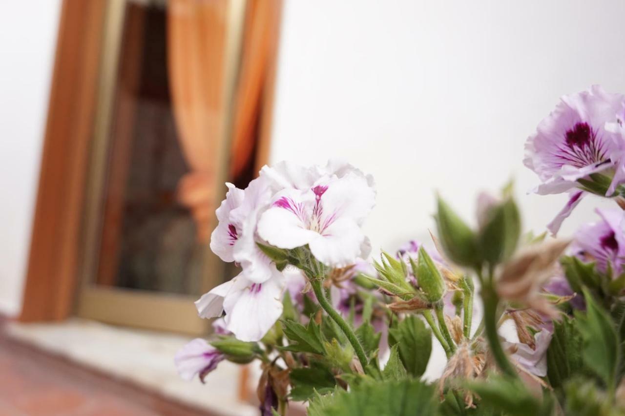 B&B Sikily Naxos Джардини Наксос Екстериор снимка